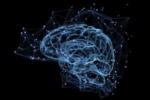 transparent brain cells with connecting nodes