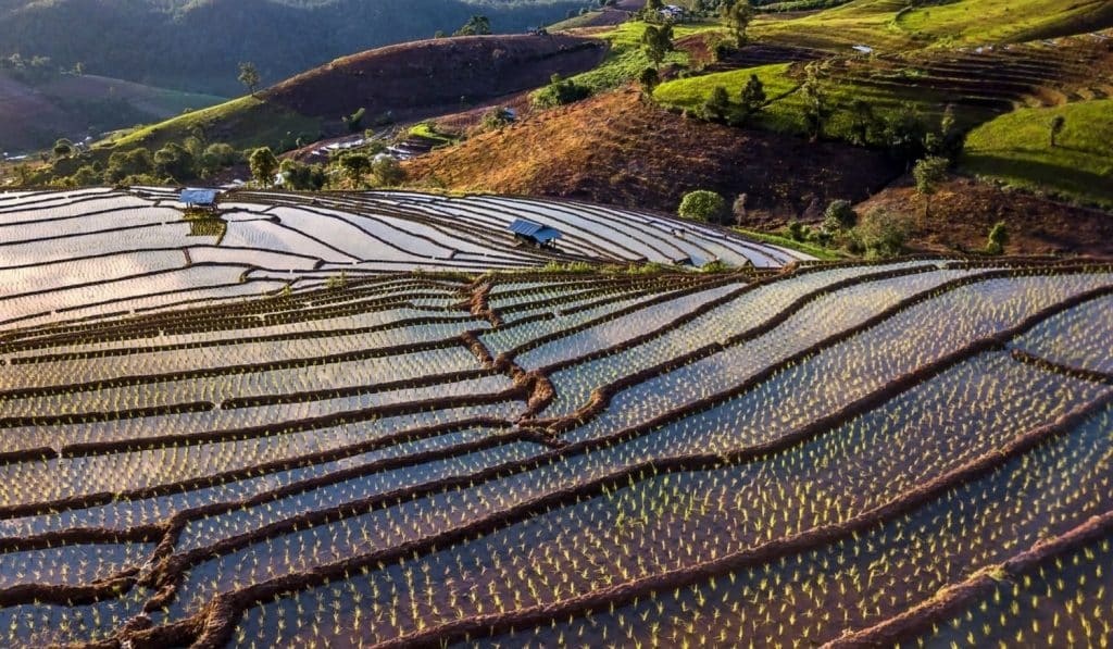 The region’s scenic countryside contributes to an attractive environment for Chiang Mai rehab.