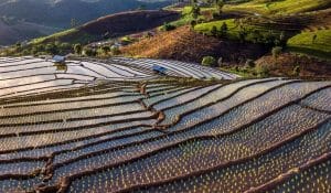 The region’s scenic countryside contributes to an attractive environment for Chiang Mai rehab.